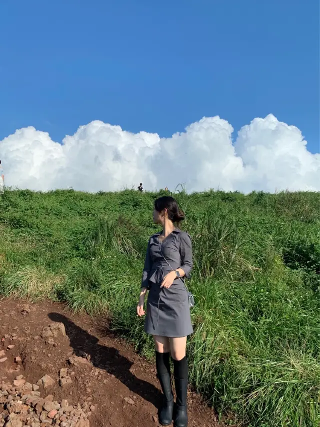 예쁜 제주 인기 오름 •금오름•⛰️