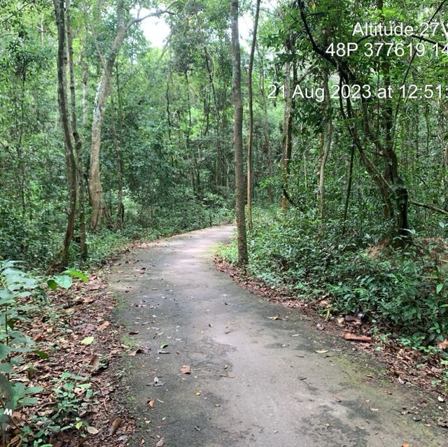 ផ្លូវកង់សម្រាប់នៅអង្គរវត្តនិងប្រាសាទនាគព័ន្ធ