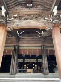 【東京都/牛嶋神社】大神輿 連合宮入渡御