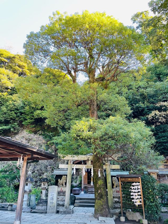 【神奈川県/七福神社】福徳円満・商売繁盛に御利益あり！