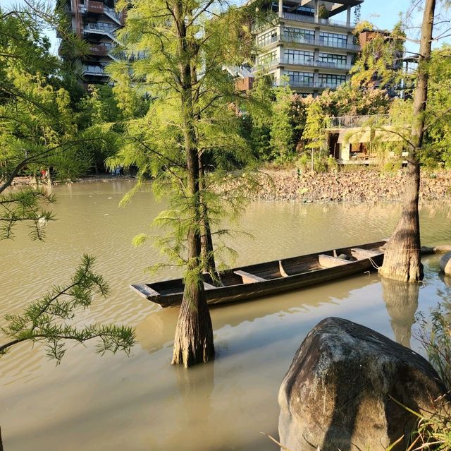 深圳隱世水上森林-泰華梧桐島