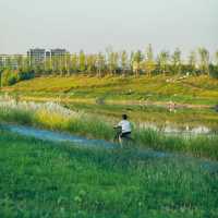 石正公園 🌳享受自然🌼🚴‍♀️