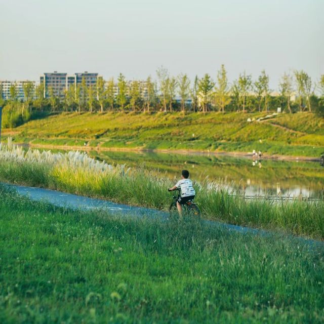 石正公園 🌳享受自然🌼🚴‍♀️