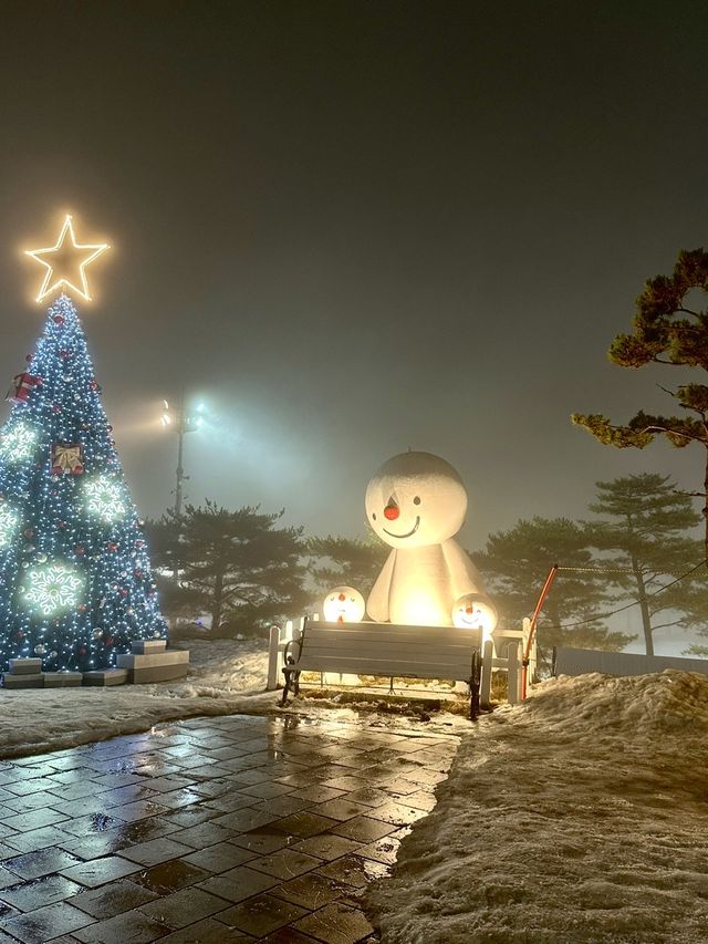 올해 눈꽃여행은 비발디파크에서~!