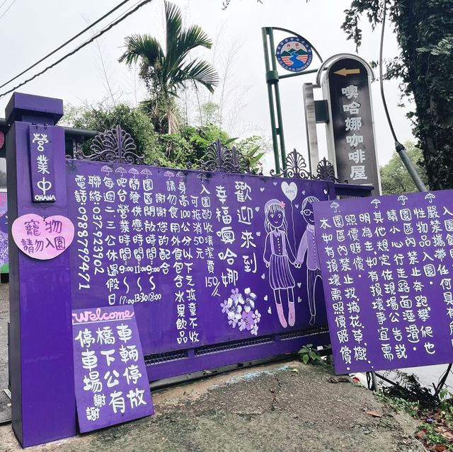 Shades of Purple in Taichung