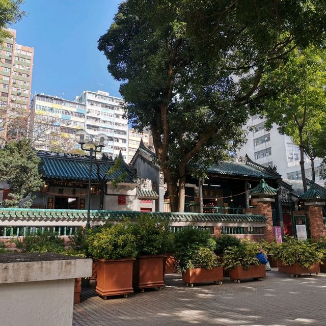 九龍市中心的綠洲