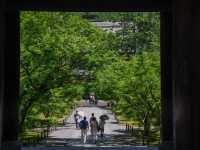 【京都市】新緑の水路閣も美しい✨