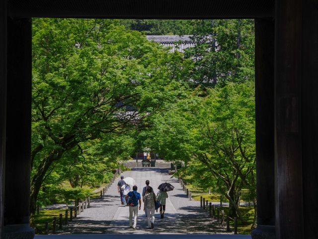 【京都市】新緑の水路閣も美しい✨