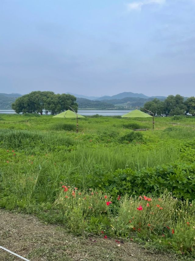 서울근교 가볼만한 곳 ‘남양주 물의 정원’ 🖼️