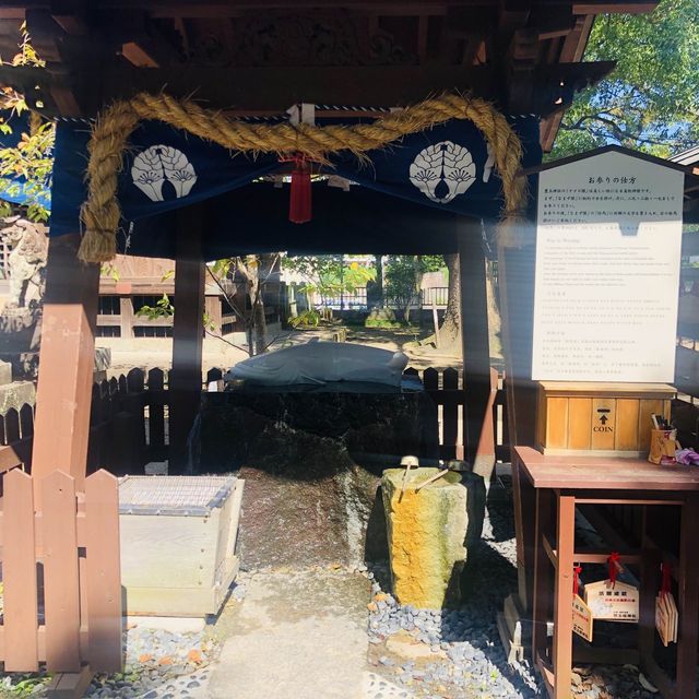  美肌界之守護神白鯰魚～摸完就會變靚