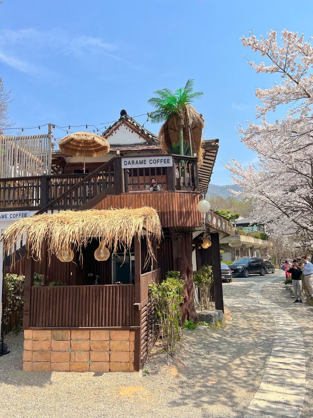 인정할 수 밖에 없는 용인 벚꽃뷰 카페 🌸