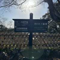 在古堡上鳥瞰古鎮