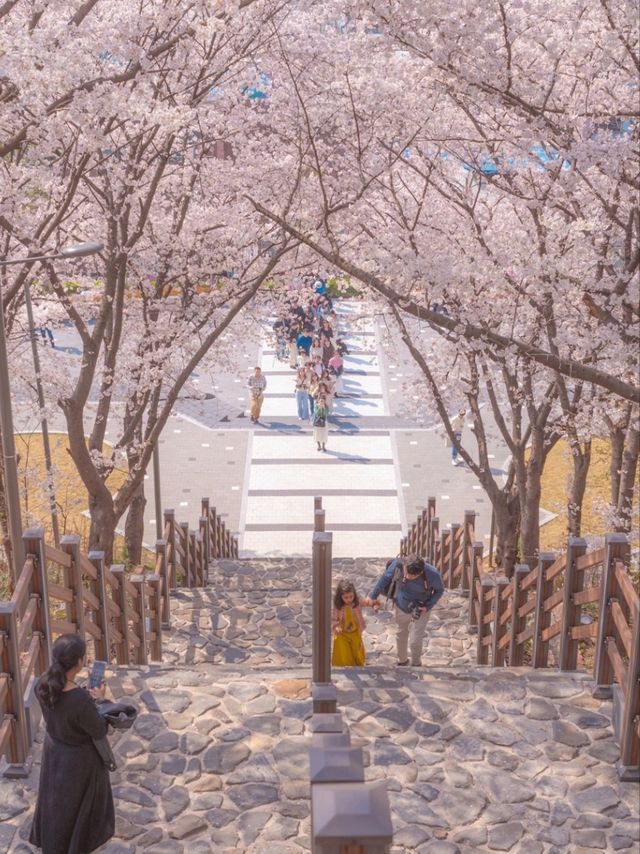 로맨스 영화의 한 장면이 생각나는 "침산공원"