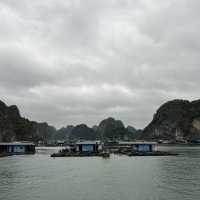 Interesting Day Tour at Cat Ba Island