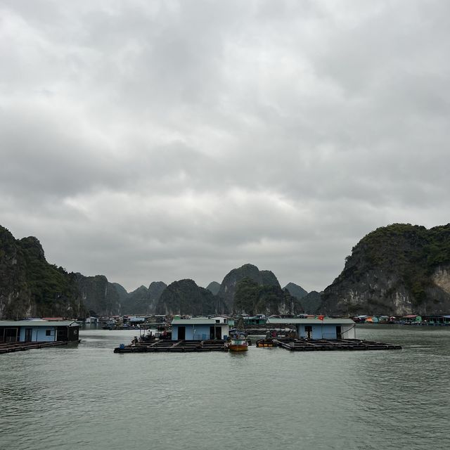 Interesting Day Tour at Cat Ba Island