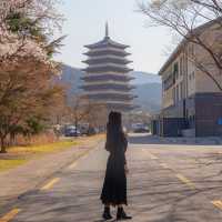 황룡원 사진 남기는 숨은명소 꿀팁✔️