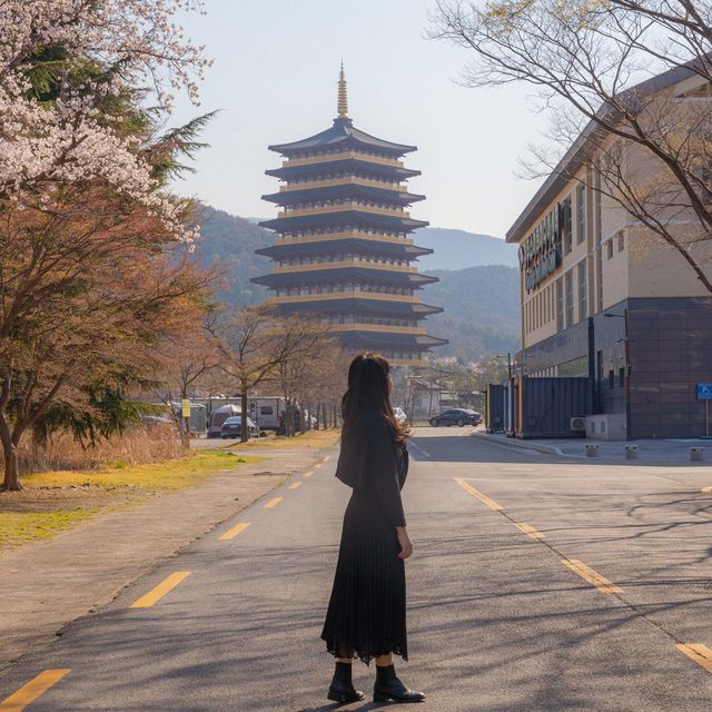 황룡원 사진 남기는 숨은명소 꿀팁✔️