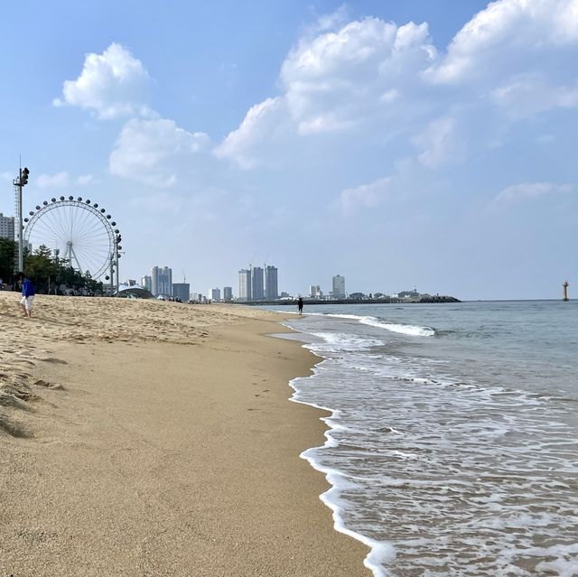 속초아이와 함께 이국적인 풍경을 자랑하는 속초해수욕장🎡