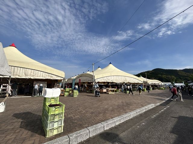 【長崎】波佐見陶器まつり2023