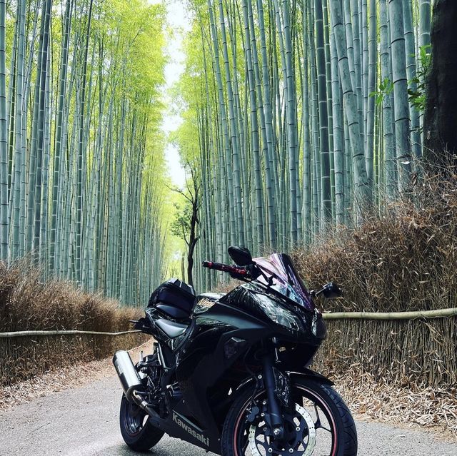 竹林の小径