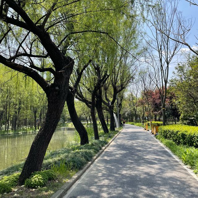홍치아오 주변 자전거 공원