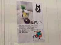 高雄三民-癒見老宅咖啡（三鳳中街友善寵物店）