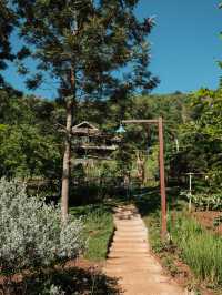 Mori Natural Farm โมริ เนเชอรัลฟาร์ม เชียงใหม่🌳☁️