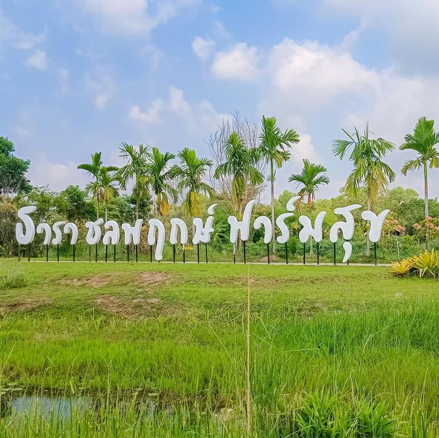 ธารา ชลพฤกษ์ ฟาร์มสุข
