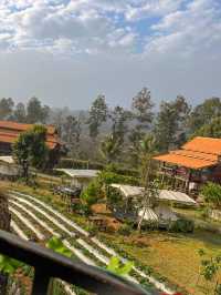 The Nest Cafe