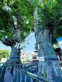 【東京都/熊野宮】一本榎伝説が受け継がれる神社