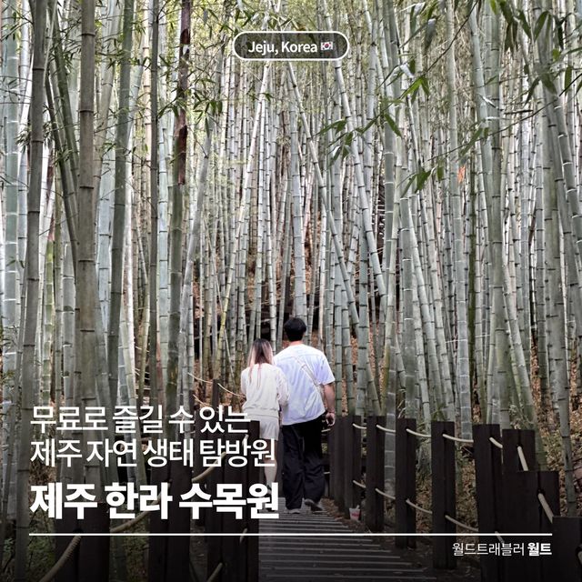 무료로 즐길 수 있는 자연생태 탐방원 🌴 한라수목원