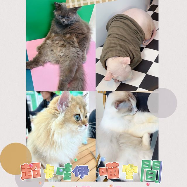 忍不住再消費的深圳一日遊🍻