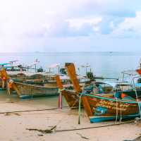 ที่พักบนเกาะพีพี คนละ500บาท  🌊