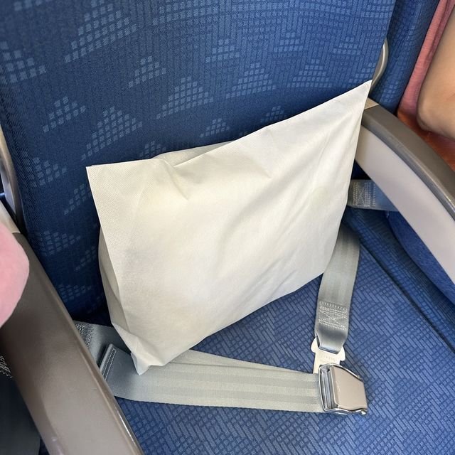 【空の旅☁️】大韓航空:中部国際空港→仁川空港
