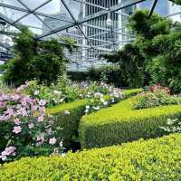 Sky garden 