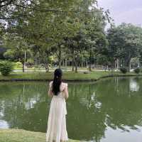 초록초록한 방콕 현지인들이 즐겨 찾는 룸피니공원