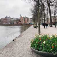 荷蘭🇳🇱海牙The Hague (Den Haag)🚶🏻‍♀️🚶🏿🚶🏻‍♂️ Hofvijver 散步看風景