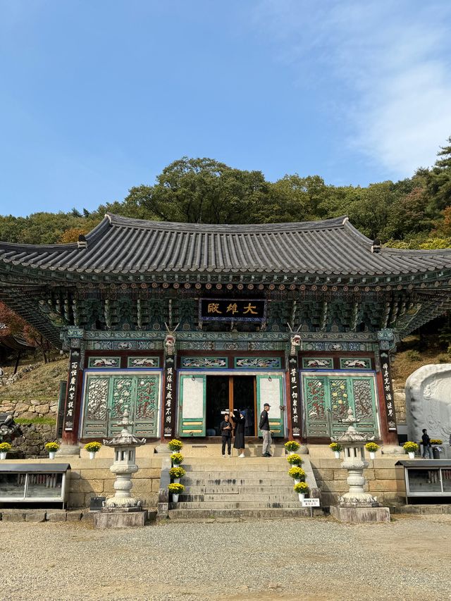 양평 가볼만한곳 용문사 천년 은행나무