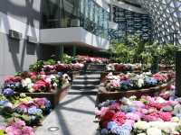 Miracle of Natural สวนดอกไม้เมืองหนาว 🌸🌹🌻💐