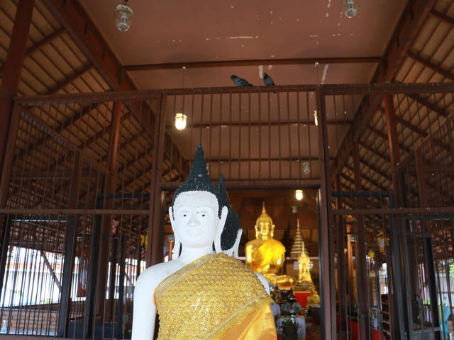 ไหว้พระมหาธาตุ  จ.ราชบุรี 🙏🏻🙏🏻
