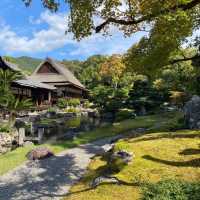 🎌禪意浸潤的日式寺院🎌 醍醐寺🎌