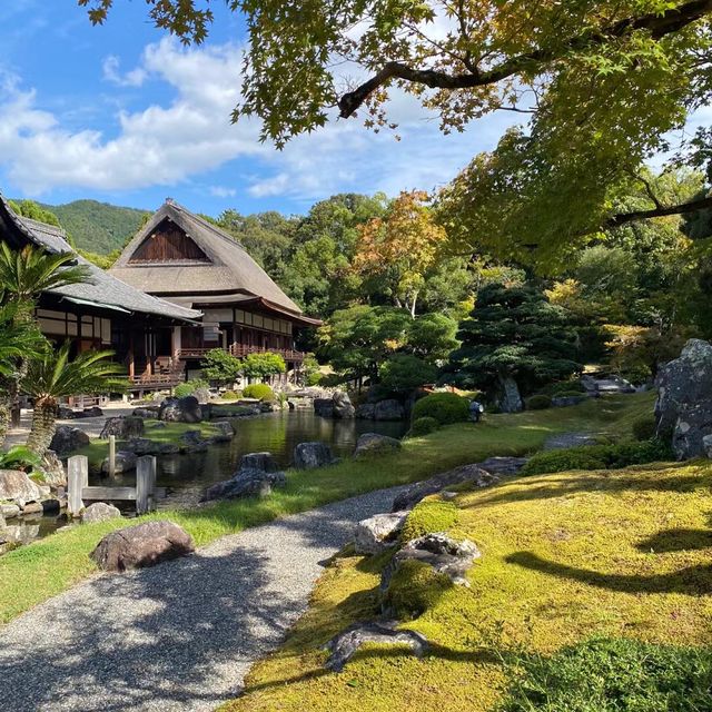  🎌禪意浸潤的日式寺院🎌 醍醐寺🎌
