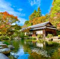Hyakusaiji: Autumn Tranquility Unveiled