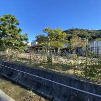 洲本温泉を無料で満喫できる足湯