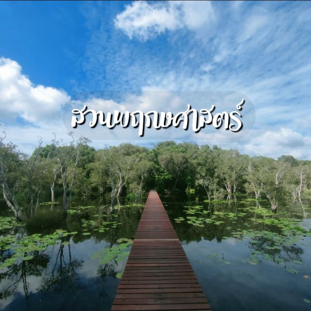 สวนพฤกษศาสตร์ รอวมื