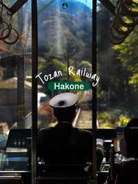 The Mountainside Railway - Hakone Train 