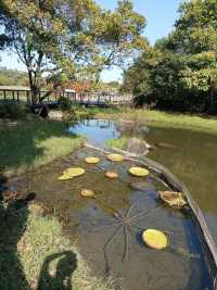 Hong Kong Wetland Park - Wetland and Marshes