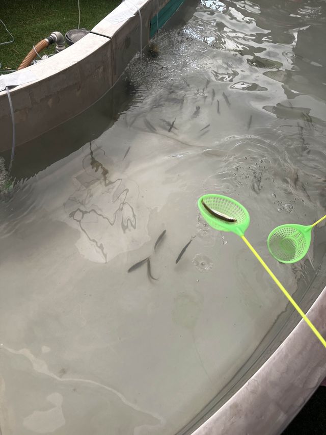 눈썰매 타며 동심으로 돌아가는 경기 양주 눈꽃축제 나들이❄️