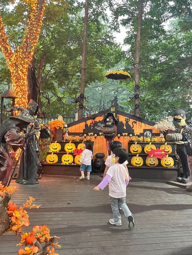 밤에 더 이쁜 안산 별빛마을포토랜드 ✨