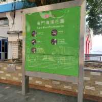 日落夜色之下，格外浪漫吸引